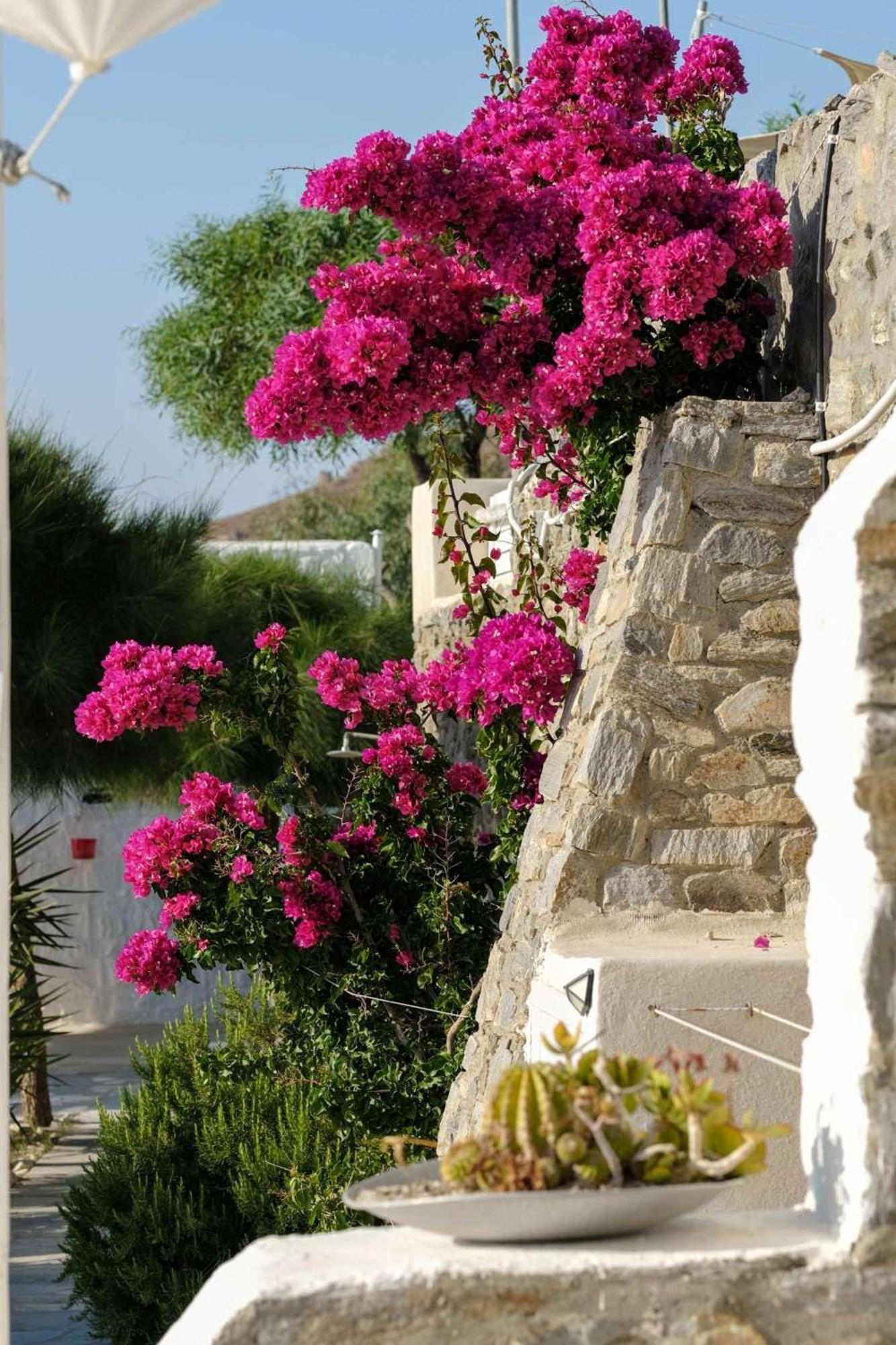 3 Paros All Season Villas Páros Exterior foto
